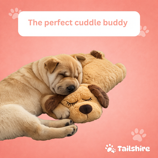 The perfect cuddle buddy