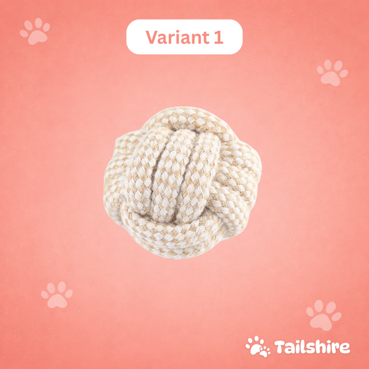 Durable Chew Toy – Variant 1