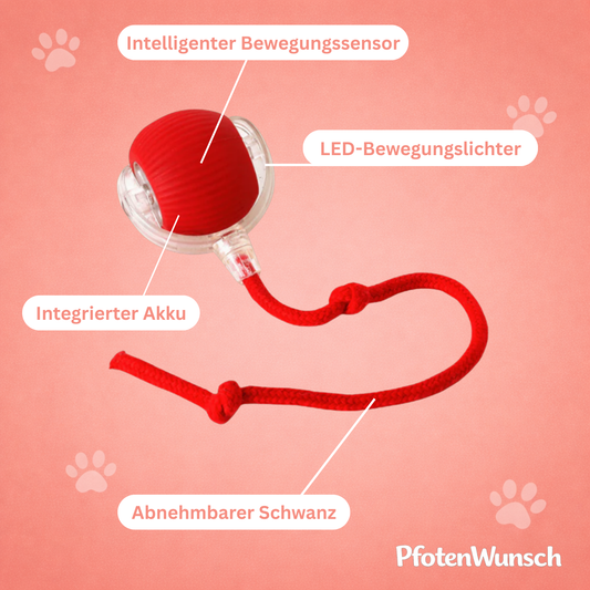 Interactive toy ball with a tail