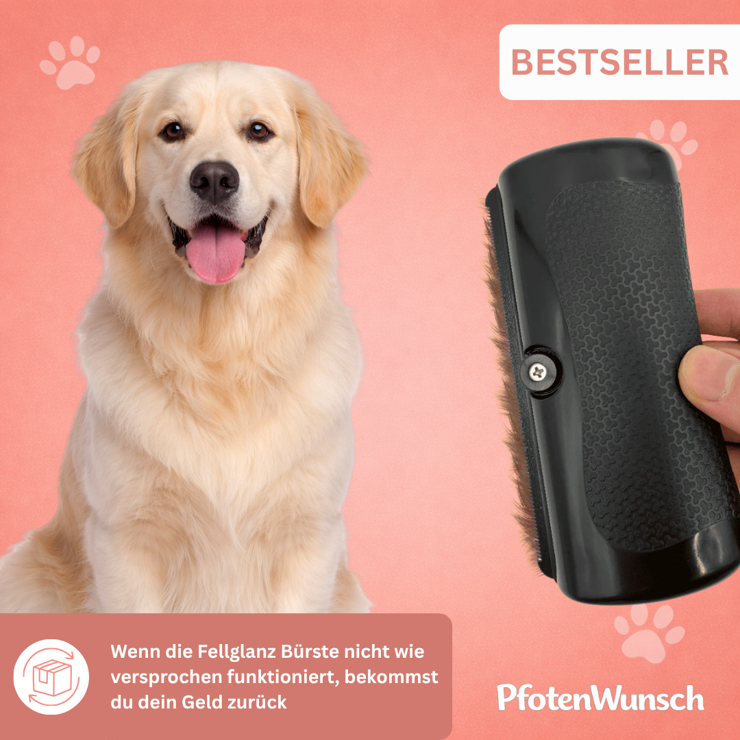 Coat Gloss Brush - The Bestseller