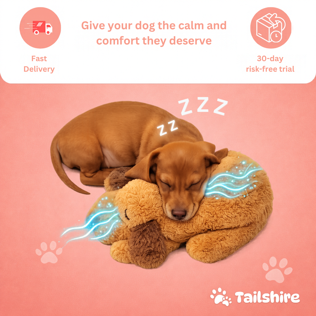 Give your dog the calm and comfort they deserve