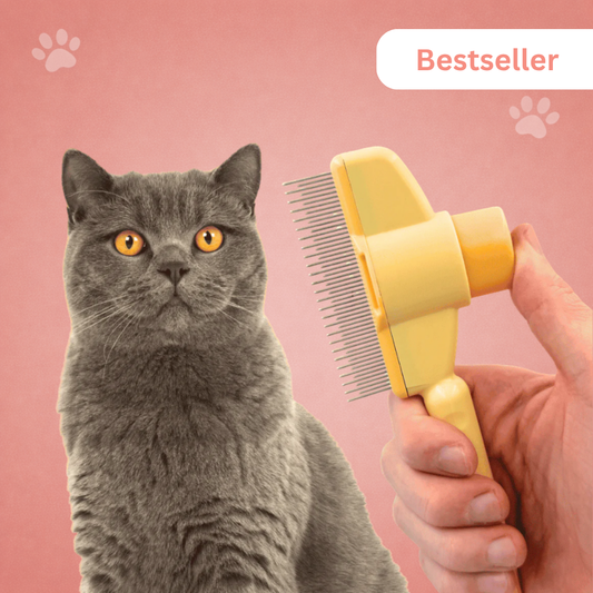 One-Click Detangling Brush – Bestseller