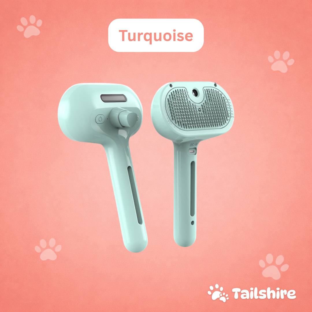 Steam Brush – Turquoise