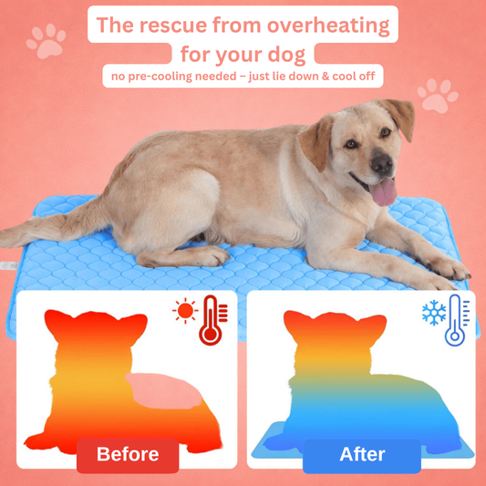 CoolPaws Cooling Mat – before and after