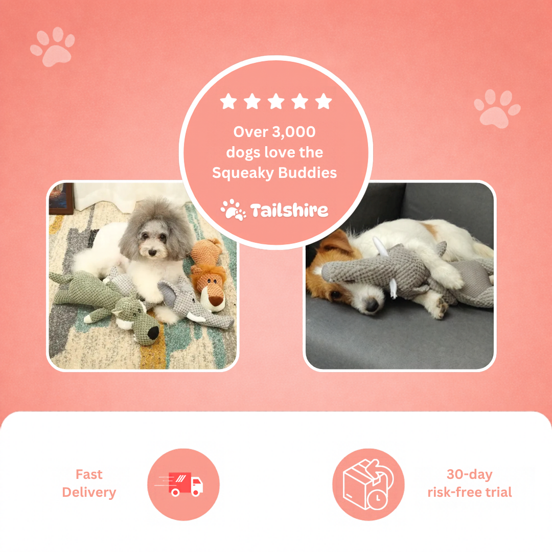 Over 3,000 dogs love the Squeaky Buddies
