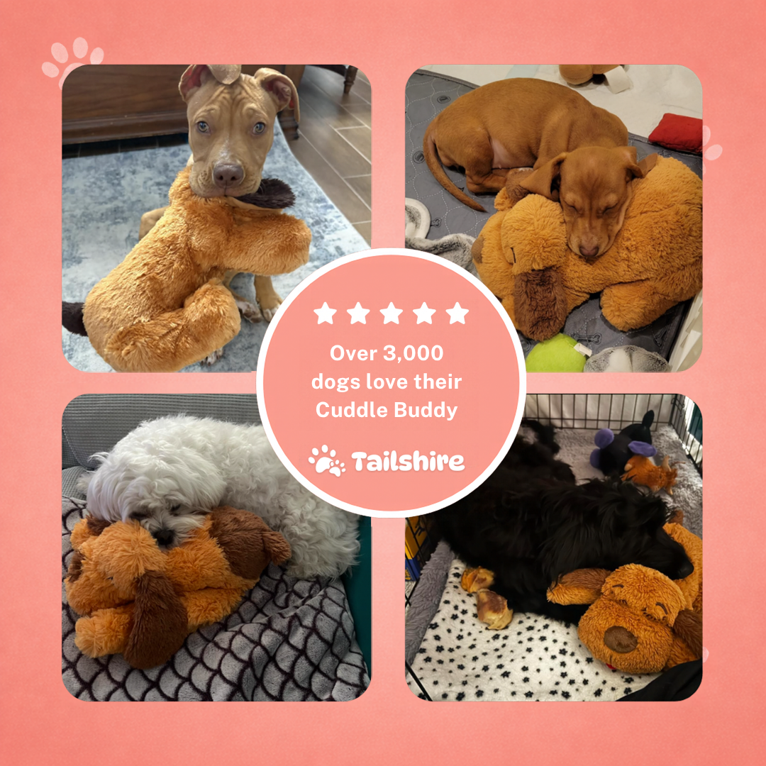 Over 3,000 dogs love their Cuddle Buddy
