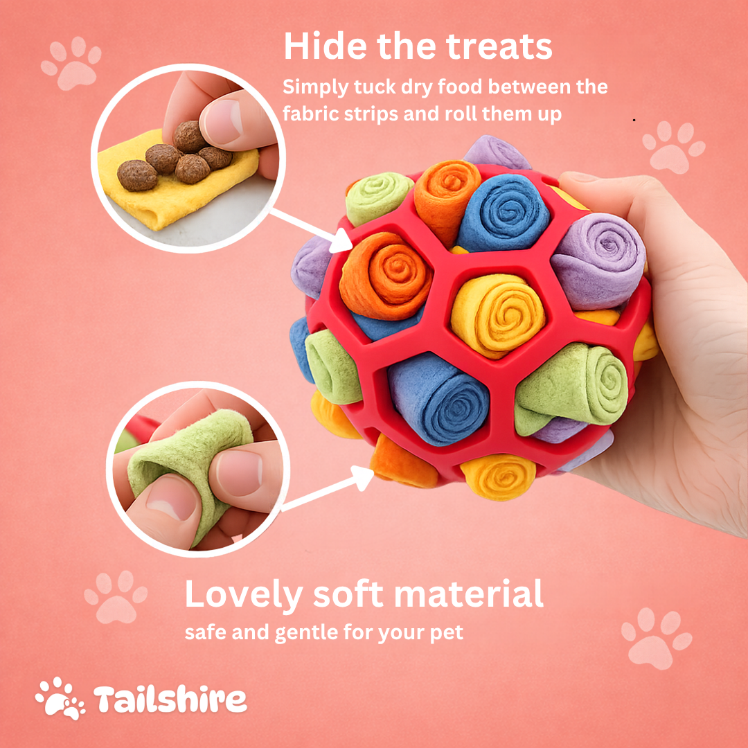 Hide the treats in the Snuffle Ball