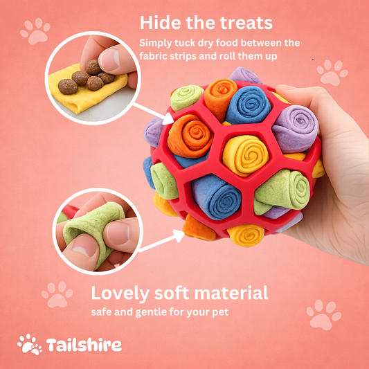 Hide the treats in the Snuffle Ball