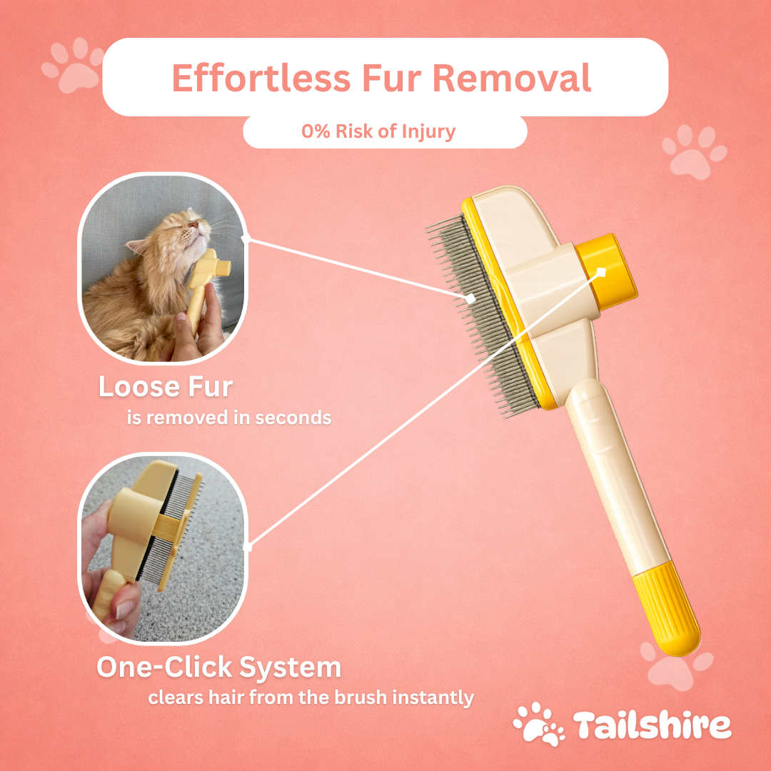 One-Click Brush – effortless fur removal