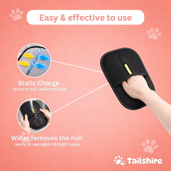 Fur Catcher for Cats & Dogs