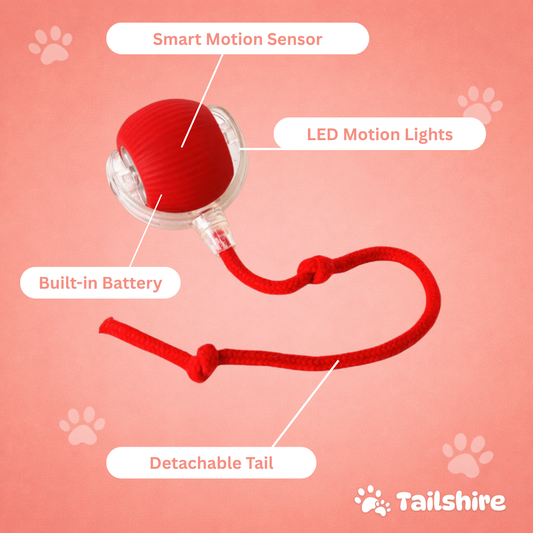 Interactive Ball – features