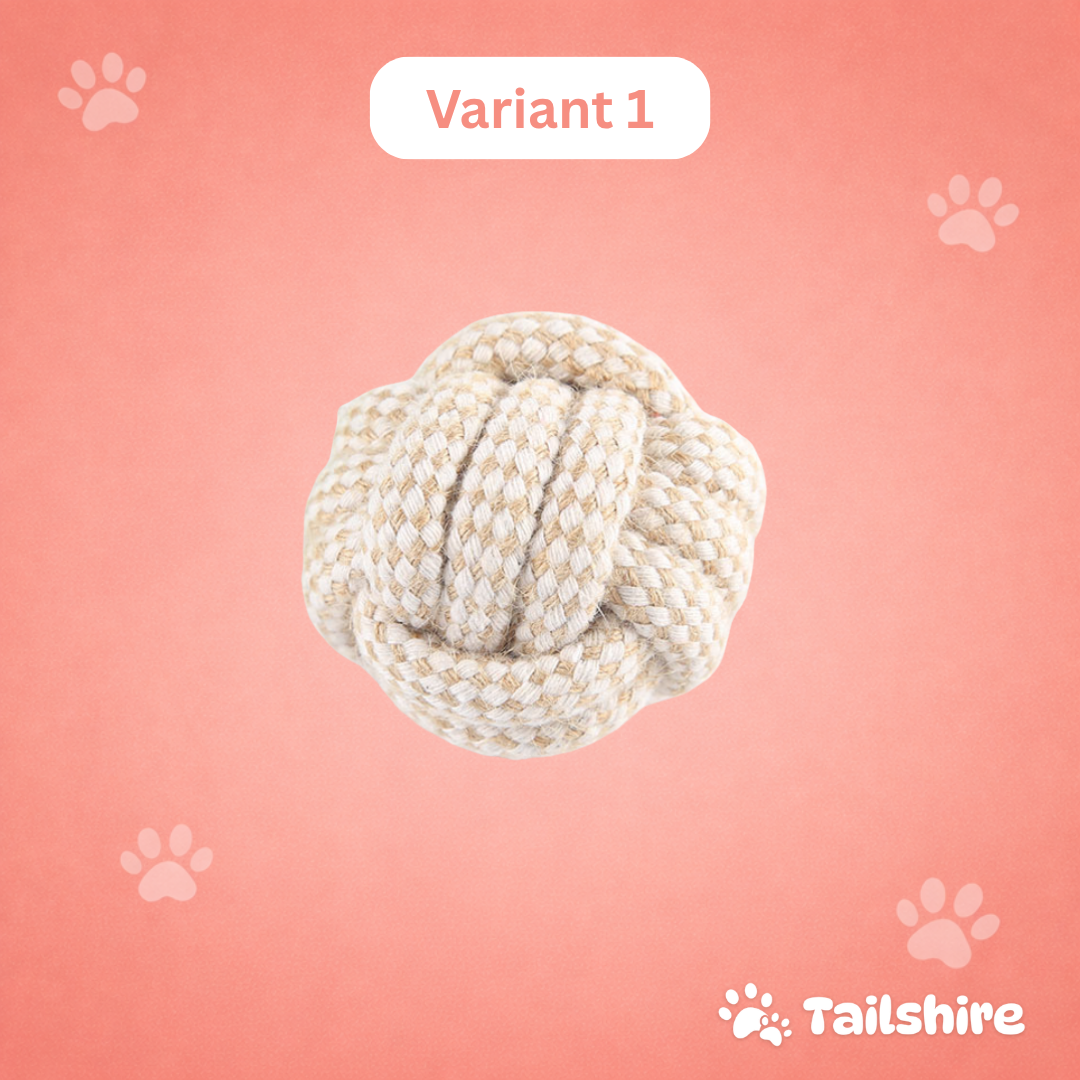 Durable Chew Toy – Variant 1