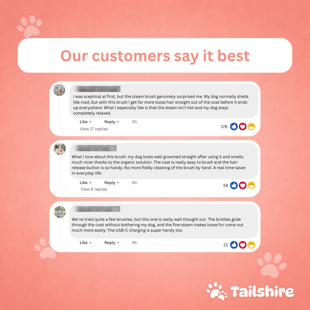 Steam Brush – customer reviews
