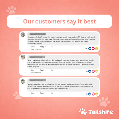 Steam Brush – customer reviews
