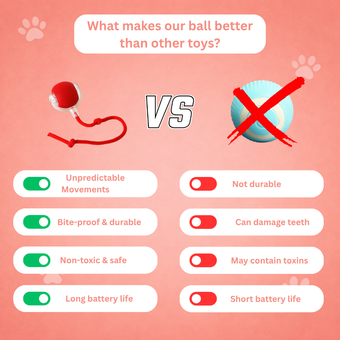 Interactive Ball vs other toys