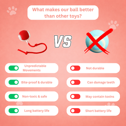 Interactive Ball vs other toys
