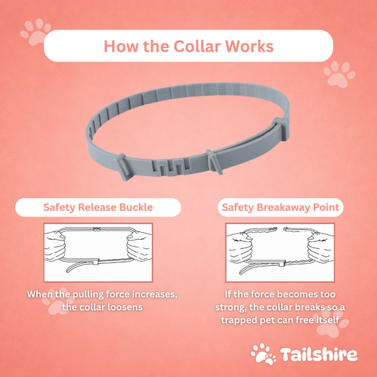 Tick & Flea Collar – how the collar works