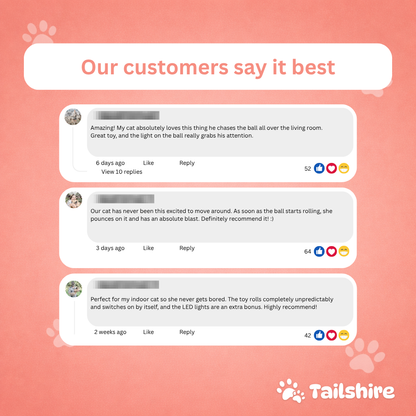 Interactive Ball – customer reviews