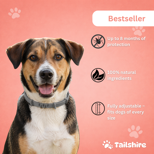 Tick & Flea Collar – Bestseller