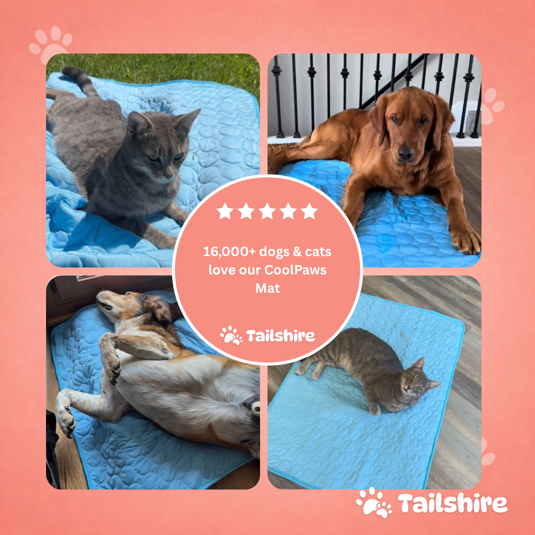 CoolPaws Cooling Mat – loved by dogs & cats