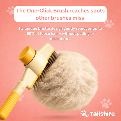 One-Click Brush reaches spots other brushes miss