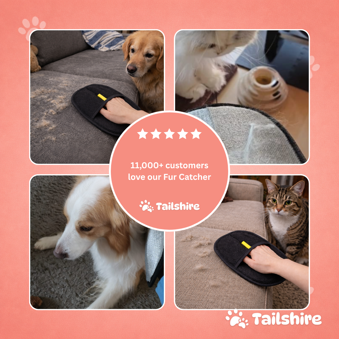 Fur Catcher – loved by customers