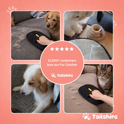 Fur Catcher – loved by customers