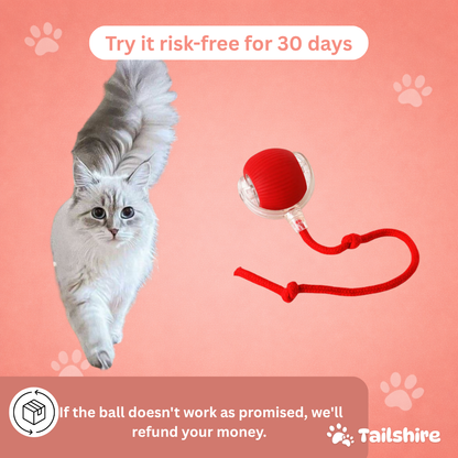Interactive Ball – try it risk-free for 30 days