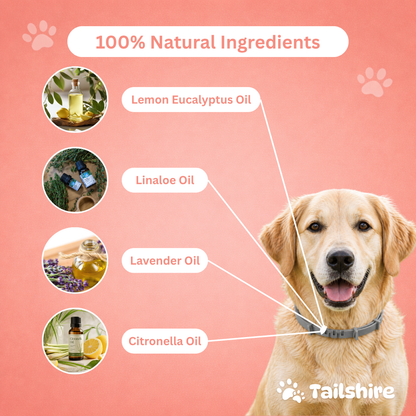 Tick & Flea Collar – 100% natural ingredients