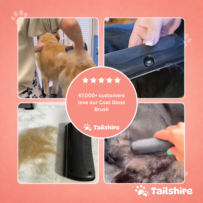 Coat Gloss Brush – loved by dog owners