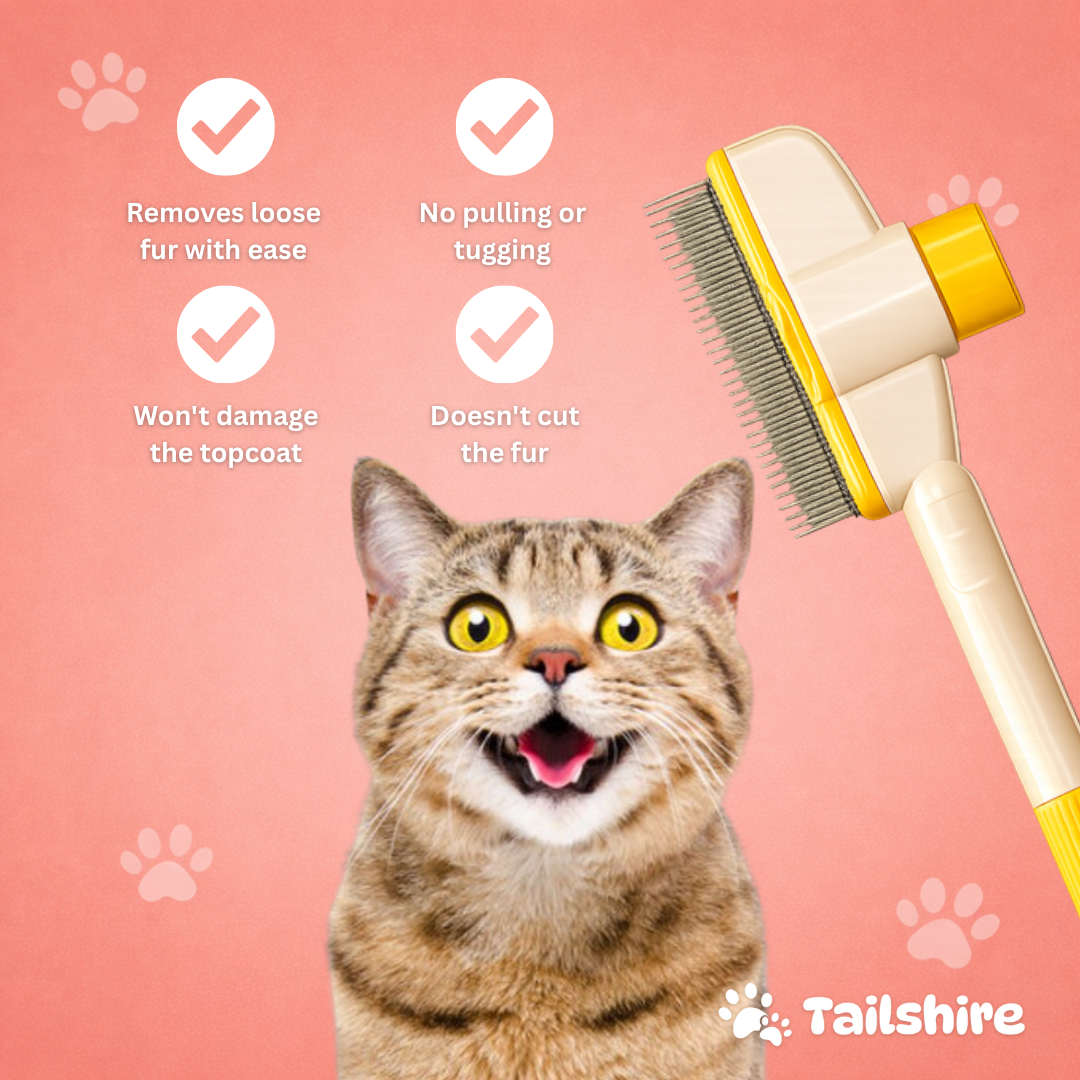One-Click Brush – benefits