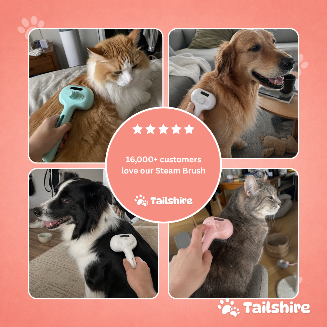 Steam Brush – loved by customers
