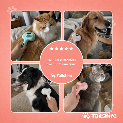 Steam Brush – loved by customers