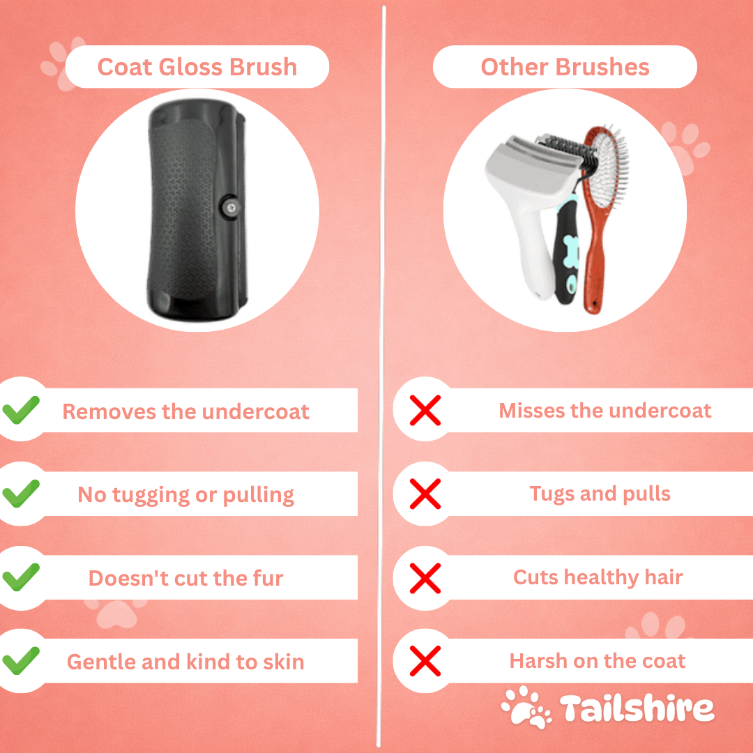 Coat Gloss Brush vs other brushes
