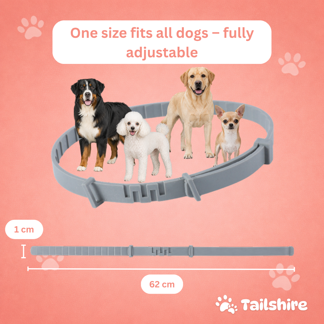 Tick & Flea Collar – one size fits all dogs