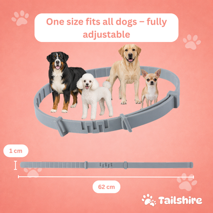 Tick & Flea Collar – one size fits all dogs