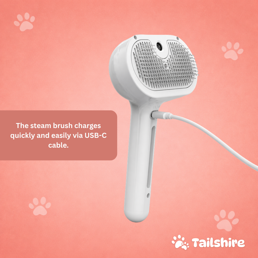 Steam Brush – USB-C charging
