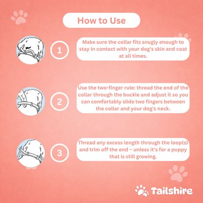 Tick & Flea Collar – how to use