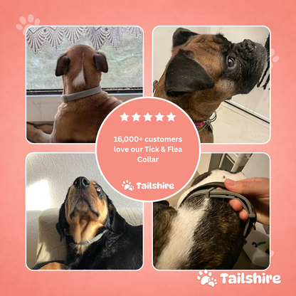 Tick & Flea Collar – loved by customers