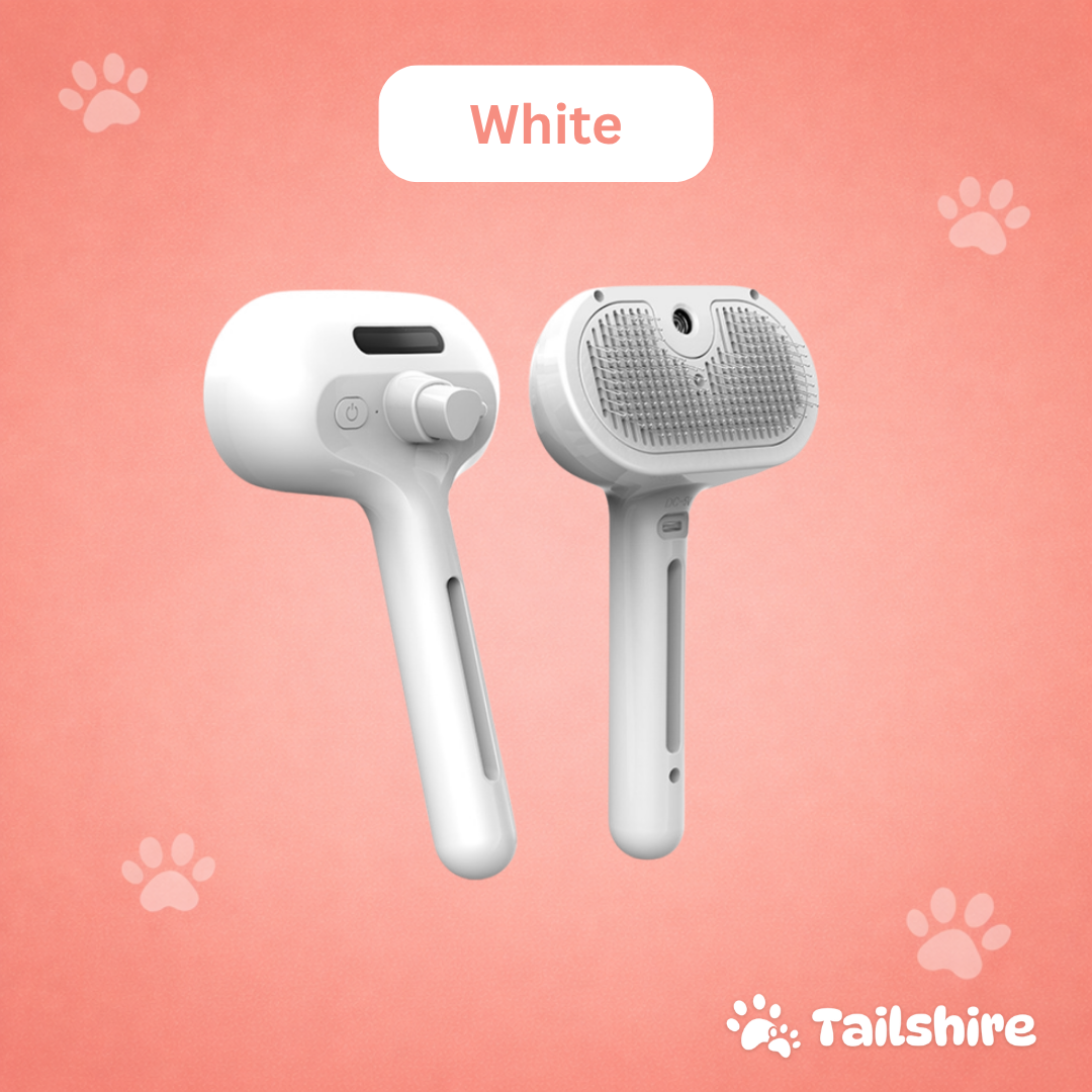 Steam Brush – White