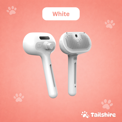 Steam Brush – White