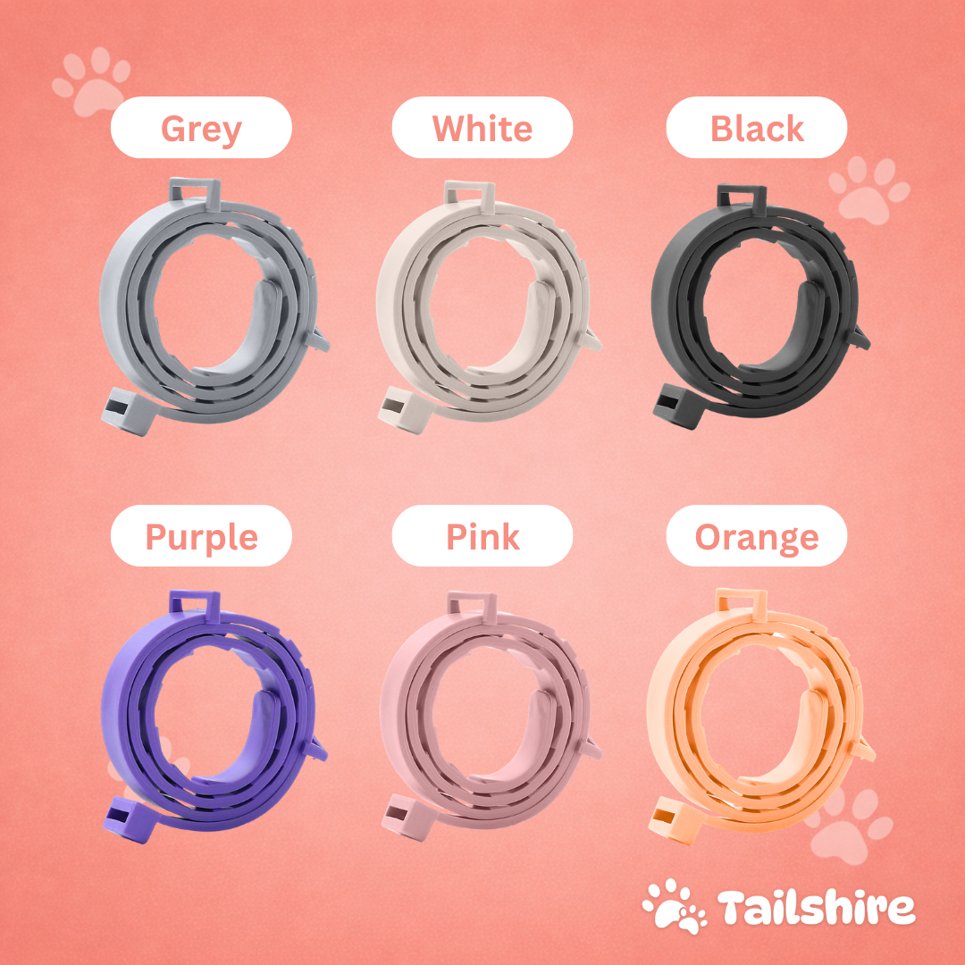 Tick & Flea Collar – colours