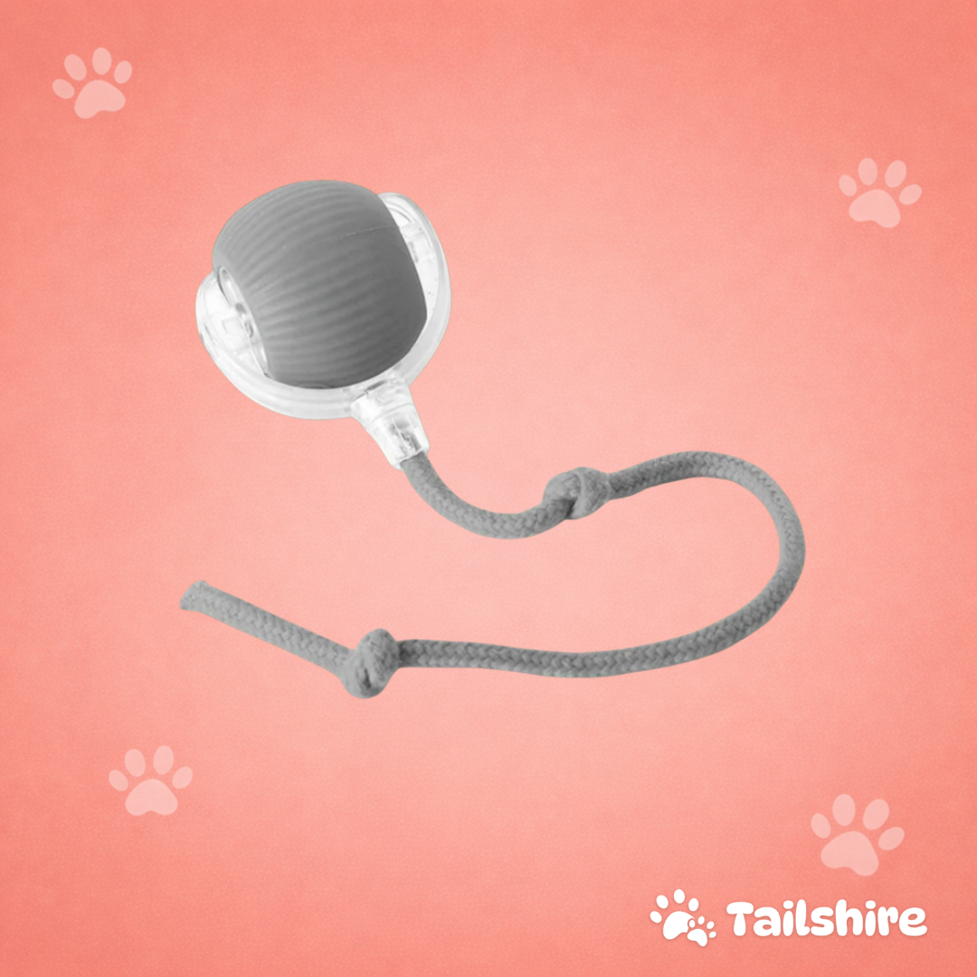 Interactive Ball – Grey