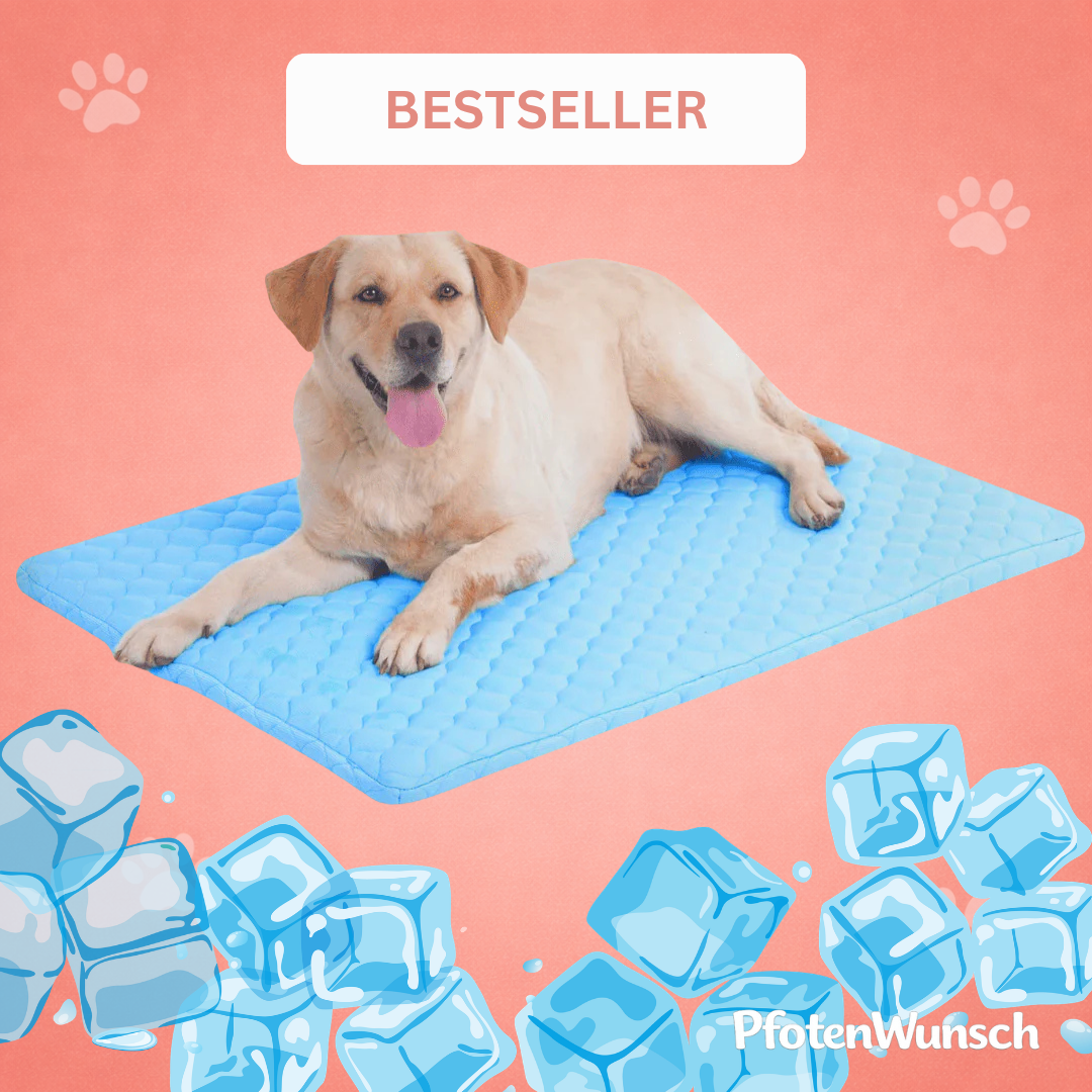 PfotenFrisch - The Bestseller