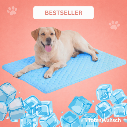 PfotenFrisch - The Bestseller