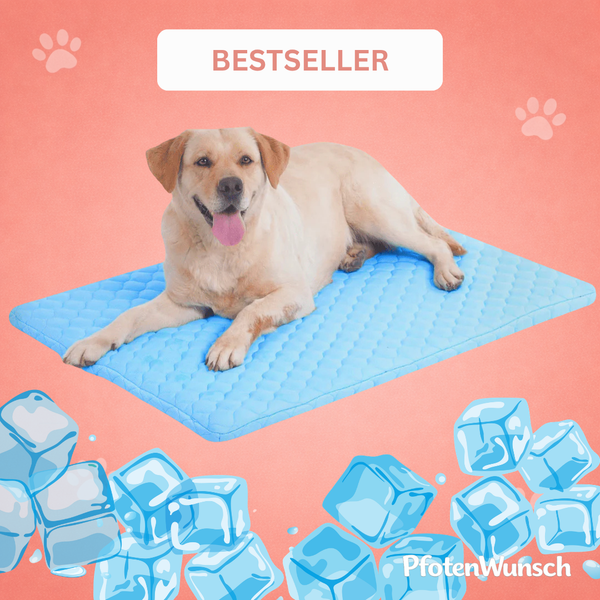 PfotenFrisch - The Bestseller