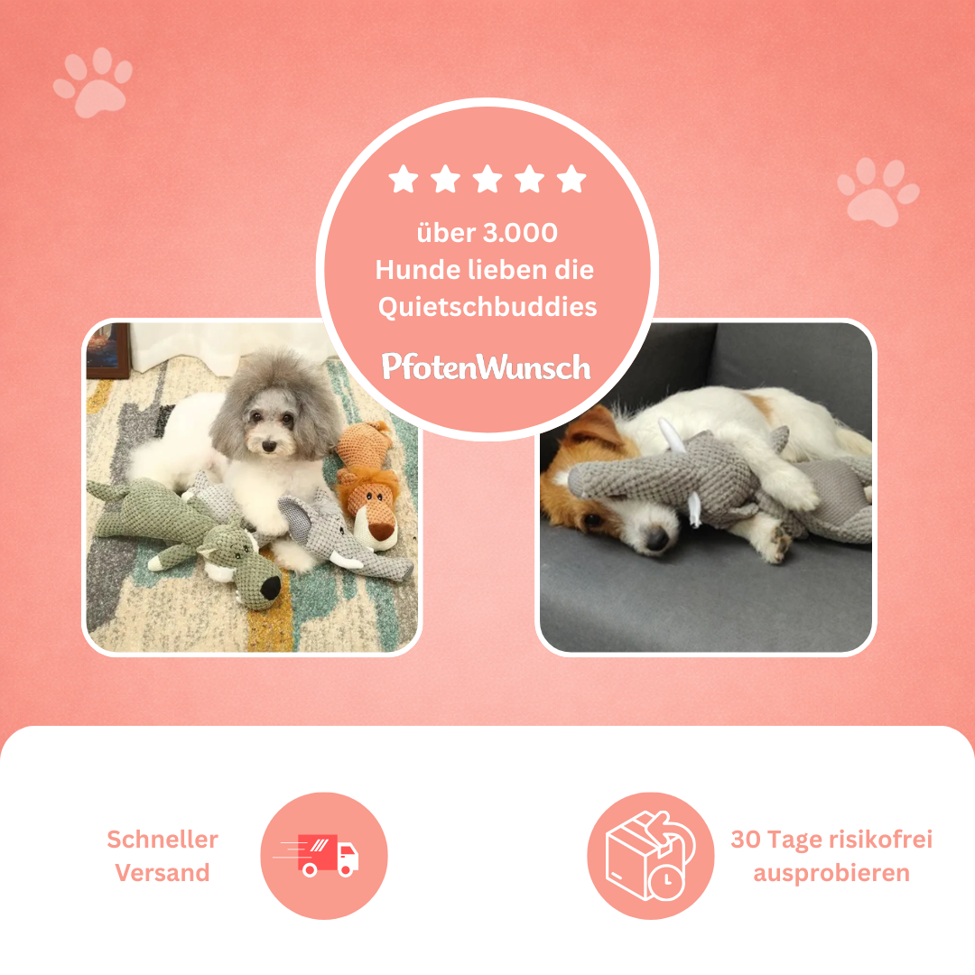 Stuffed animal with squeaker