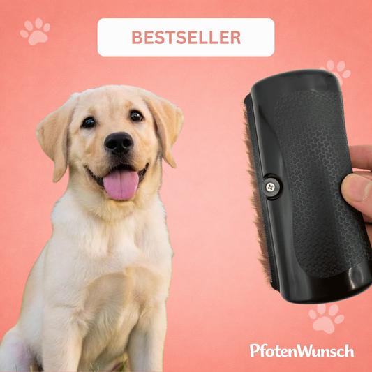Coat Gloss Brush - The Bestseller