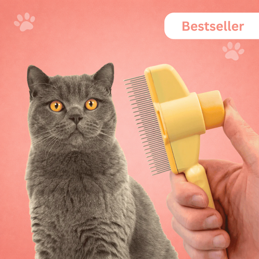 One-click detangling brush
