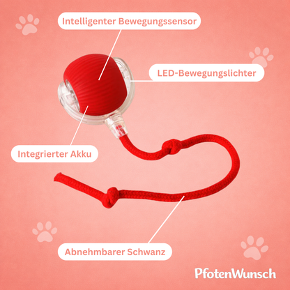 Interactive toy ball with a tail